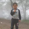 viethungdiogy