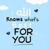 usmanrajput855