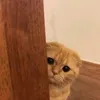 _randompeeps