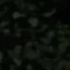 j.u.s.w.a