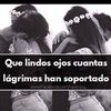 miguelvega375
