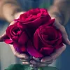 adornmentoflife16
