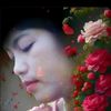 rose9123364