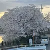 hau130803