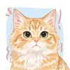 alisonmarze123