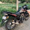 pengen.tiger_1