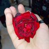malikzaddi043