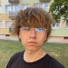 dziennikaarz