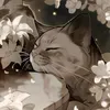 milskhs_