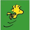 woodstock789