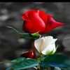 user7651035486752