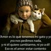 tommytomas93