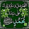 heshamabdelhady21