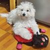 fanatico_de_todo_un_poco