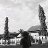 cesssyaa4