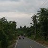 indonesia231