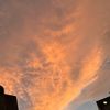 skyonee22_
