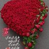 rani.g7926