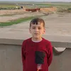 amadesaied0