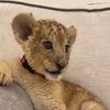 sajed._jafari12