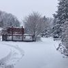 john_ny455