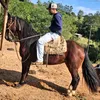 augusto.311