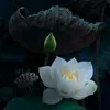 tranthanhhao1560