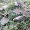 pengguna_templat444