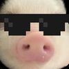 amu_piggyb
