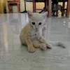 jamvivefinds