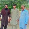 alishahzada542