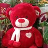 irfan.696