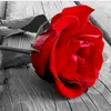 seada.red