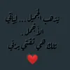 karrarhussein103