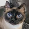 charlienotic