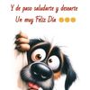 mapache1984gmil.con
