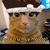 gaby_zuzu