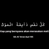 pengenjadihafidz_quran