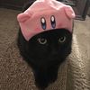 cattpurrson