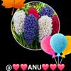 www.tiktok.comanusha4