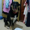 junimar2