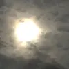 gjdvdb0