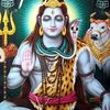 punitha1010