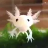 rxxbertx