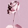 hopefulbeauty23