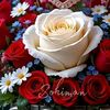 lily_1621