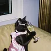 6cindy9_