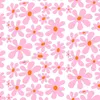 poppycat_b