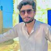 zameeralizardari1