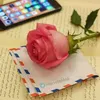 mohanedmohamed497